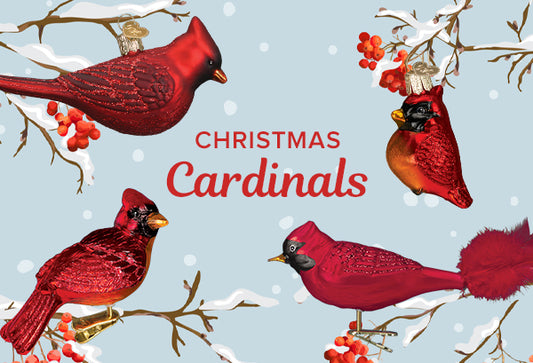 The Northern Cardinal: A Beautiful Red Christmas Bird with Symbolism and Meaning