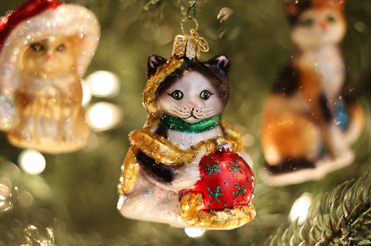 Cats and Christmas Trees Just Don’t Mix Well