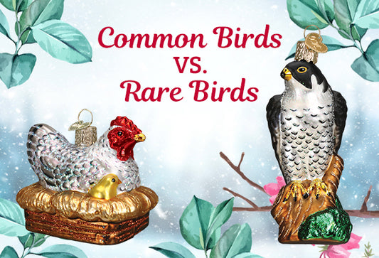 Show Off Your Collection: Common vs. Rare Birds