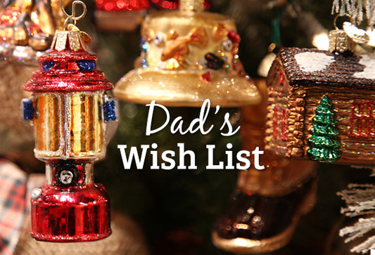Christmas Gift List for Dad