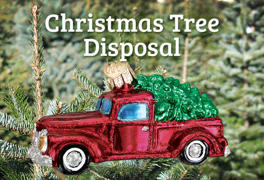 Christmas Tree Disposal For Real & Artificial Trees