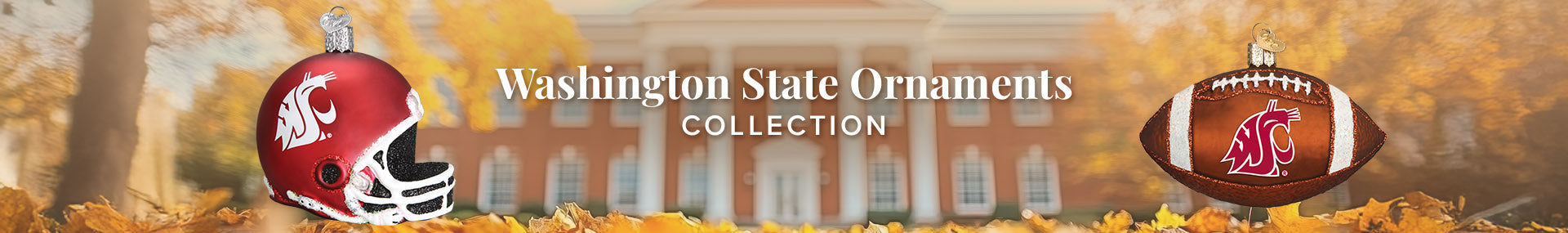 Washington State Ornaments