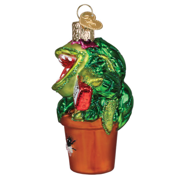 Venus Fly Trap Ornament – Old World Christmas