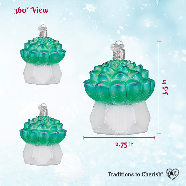 Echeveria Succulent Ornament