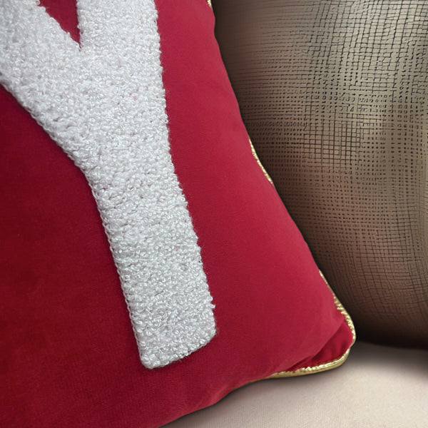 Coussins Décoratifs Raz Christmas – Collection Joy Or Noel – Feutrine Rouge Assortie (lot)