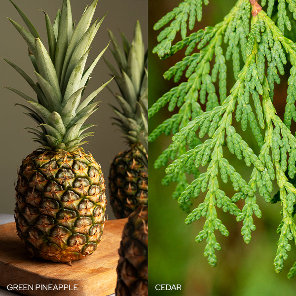 Pineapple - Cedar Ornament Pineapple - Cedar Ornament