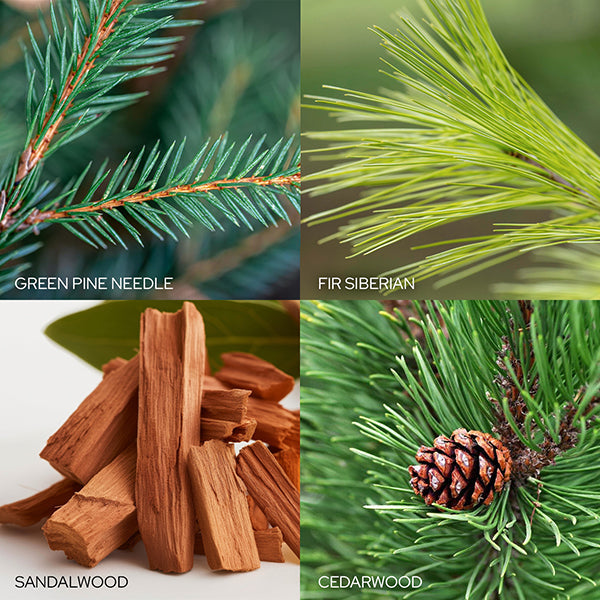 Country Pinecone Scented Orn Ornament