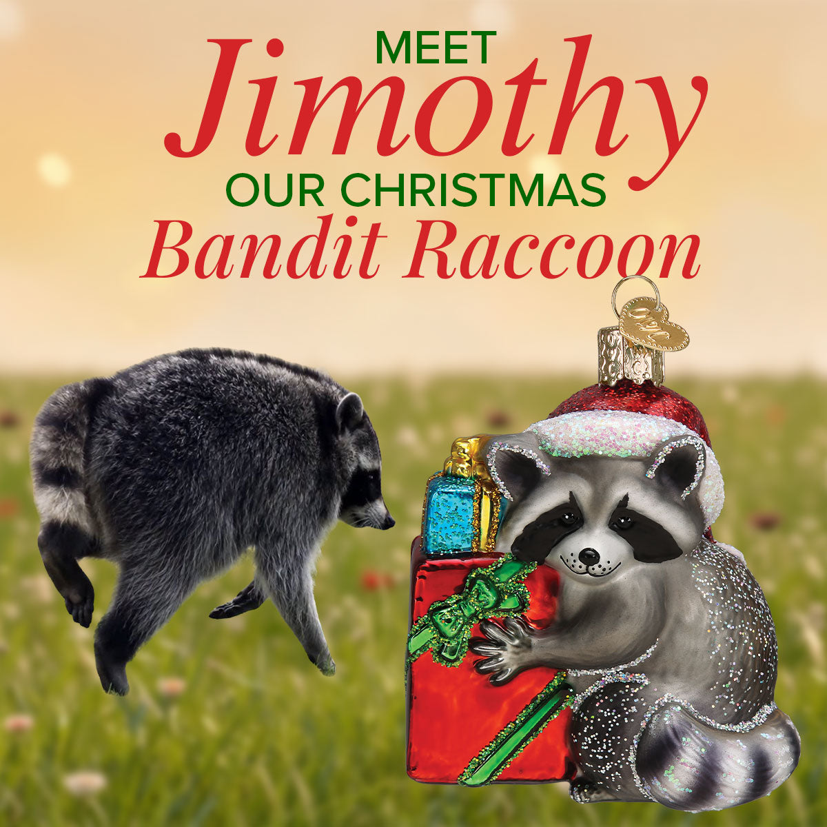 Jimothy Ornament