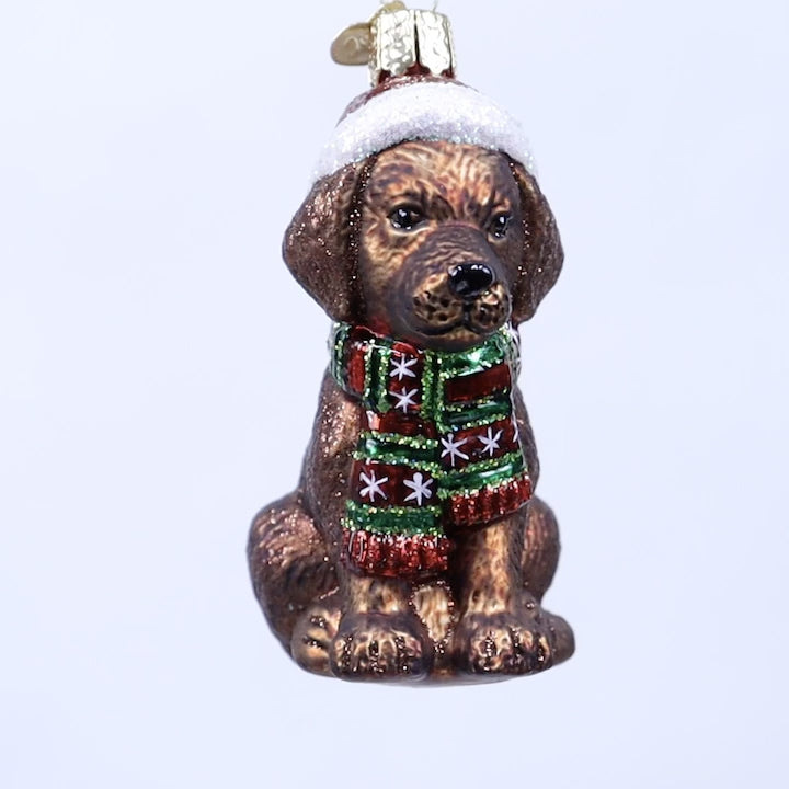 Holiday Chocolate Labrador Pup Ornament – Old World Christmas
