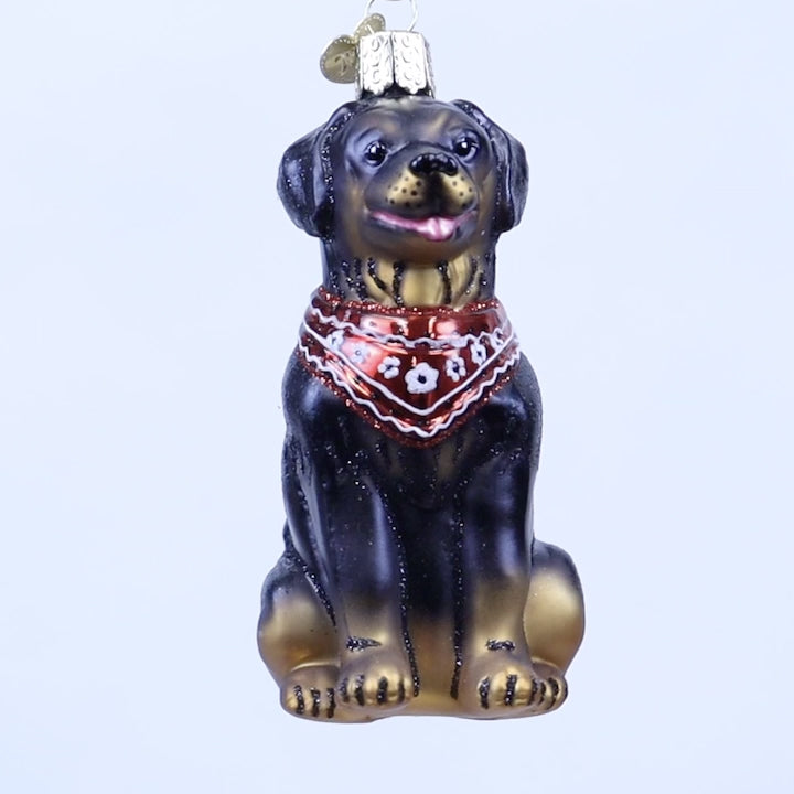 Rottweiler Ornament – Old World Christmas