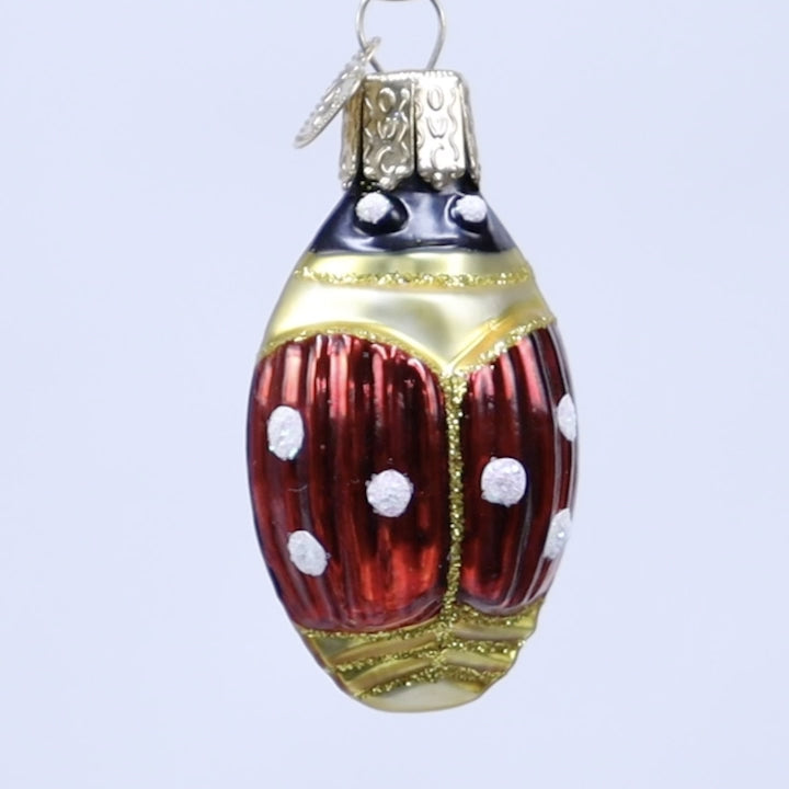 Lucky Ladybug Ornament | Old World Christmas™