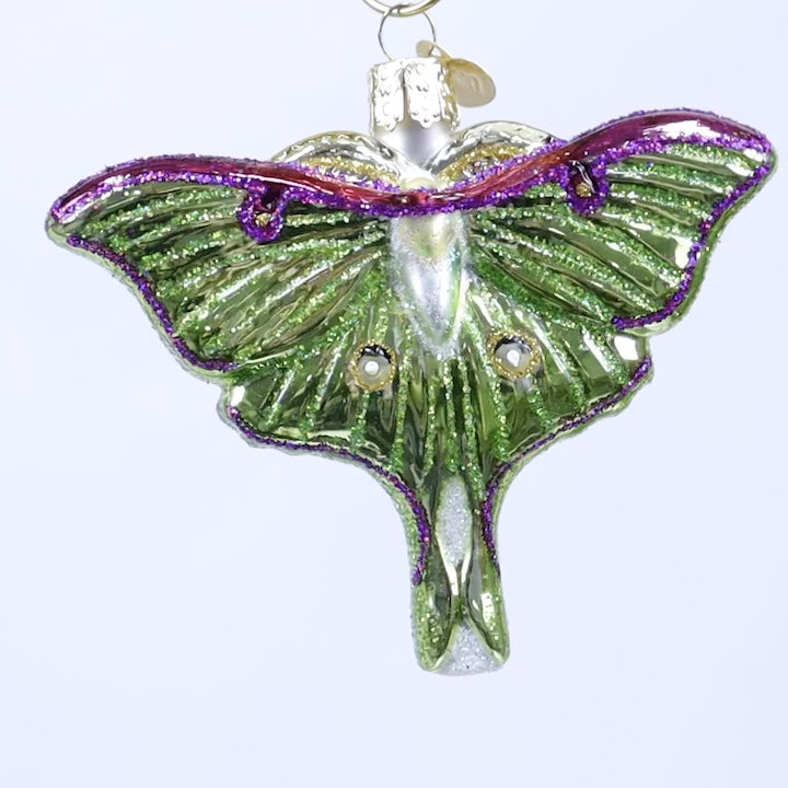 Luna Moth Ornament – Old World Christmas