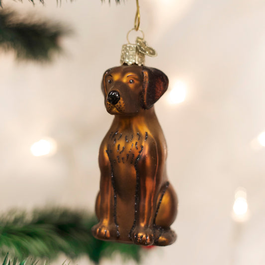 Dog Christmas Tree Ornaments | Old World Christmas