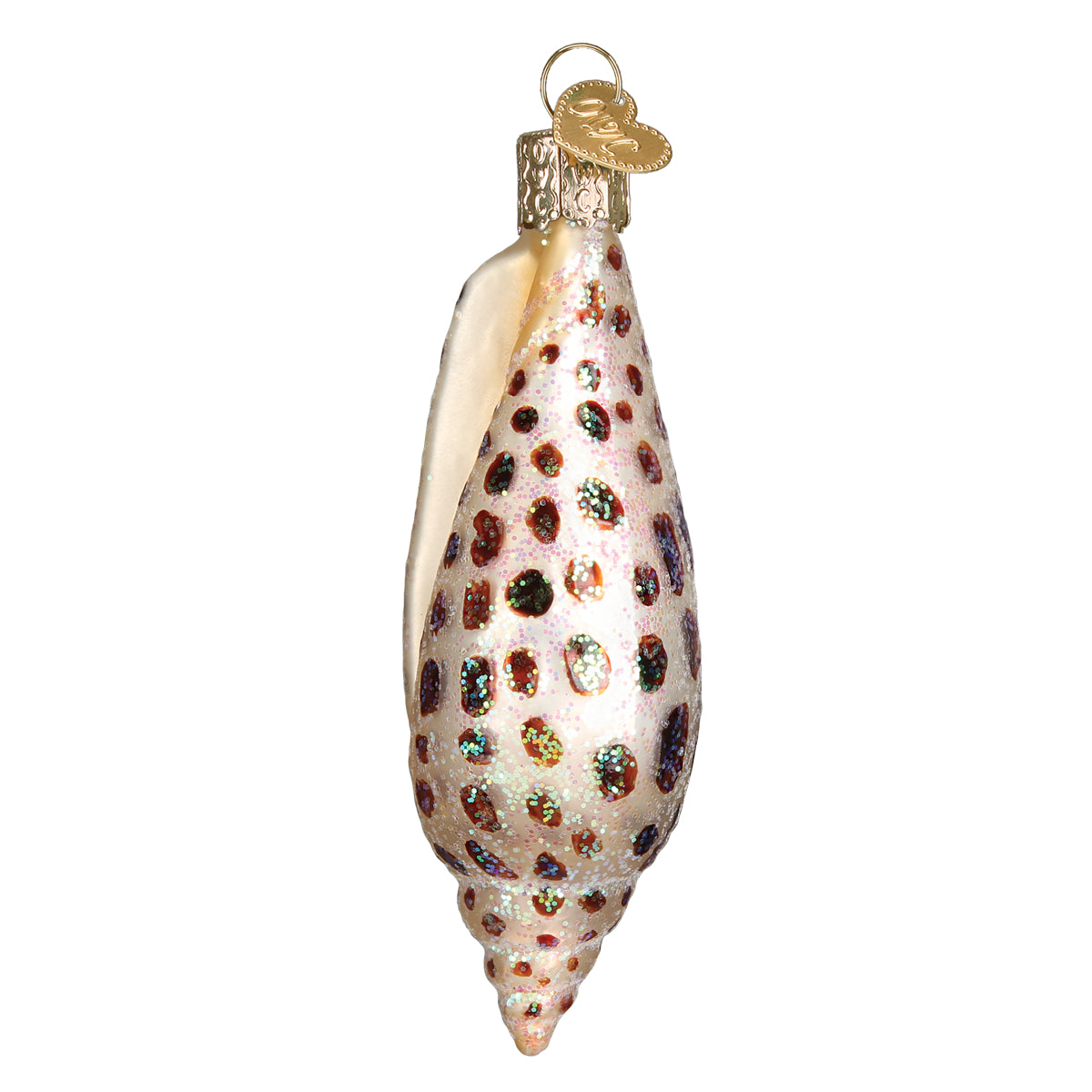 Junonia Shell Ornament