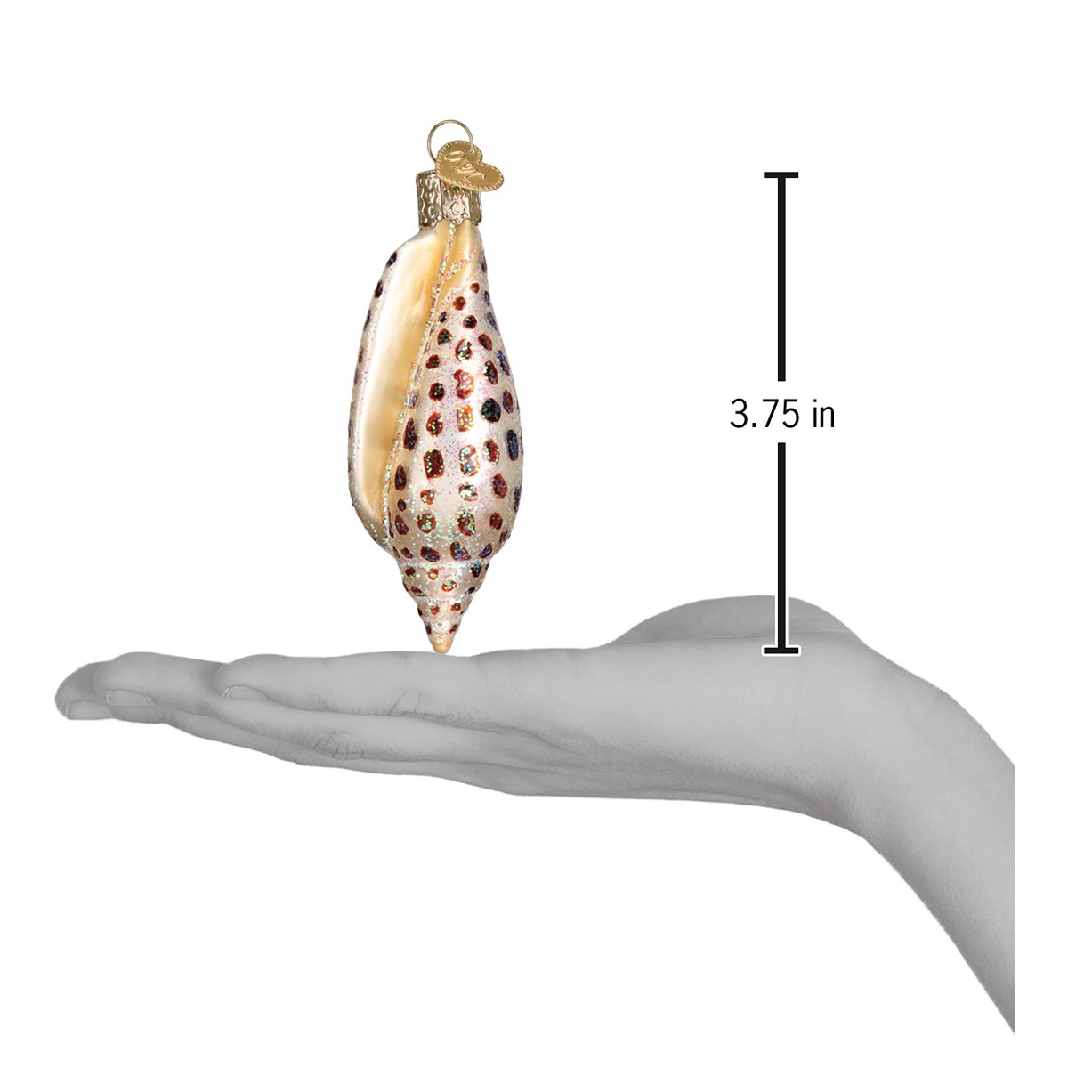 Junonia Shell Ornament | Old World Christmas™