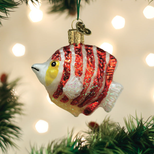 Peppermint Angelfish Ornament – Old World Christmas
