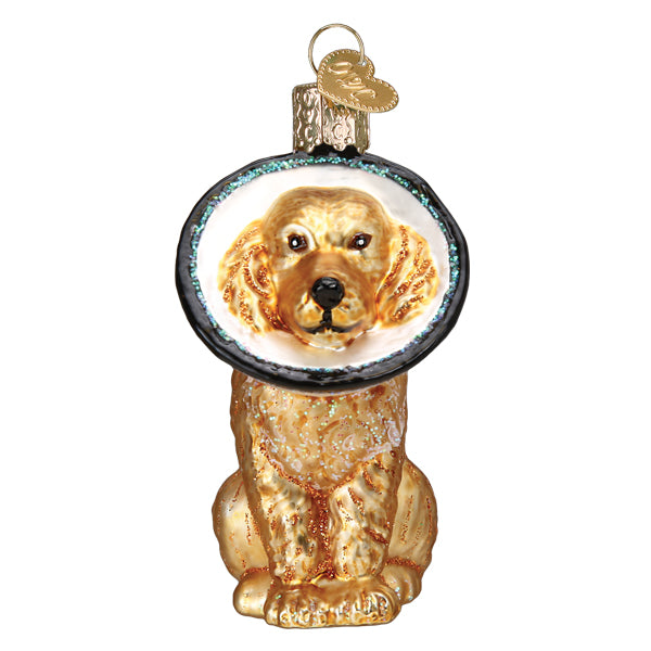 Cone Of Shame Dog Ornament