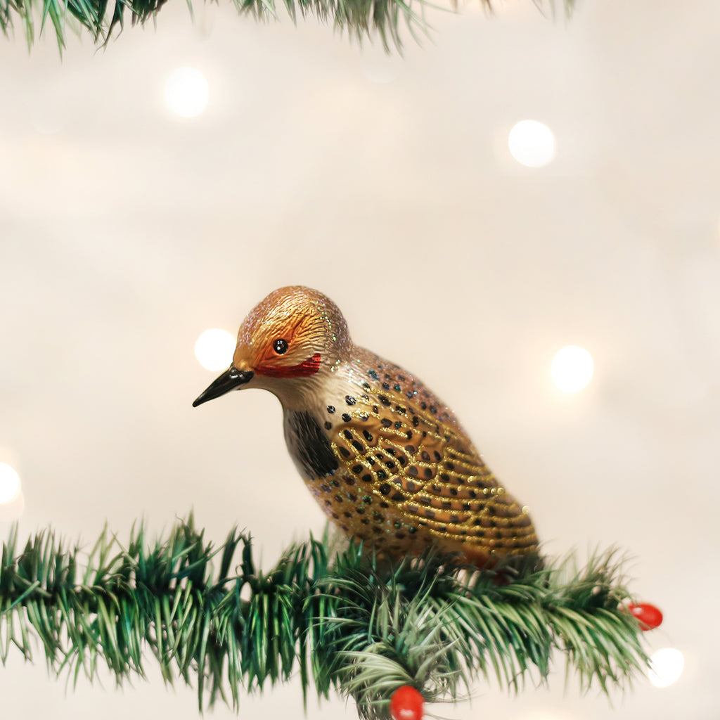 Northern Flicker Ornament | Old World Christmas™