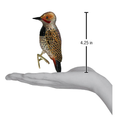 Northern Flicker Ornament | Old World Christmas™