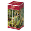 A red and gold box labeled Old World Christmas Clear Glass Icicles Set of 24 displays hanging glass icicle ornaments on a Christmas tree, with 12 pieces each of 3.5 and 6.5 lengths.
