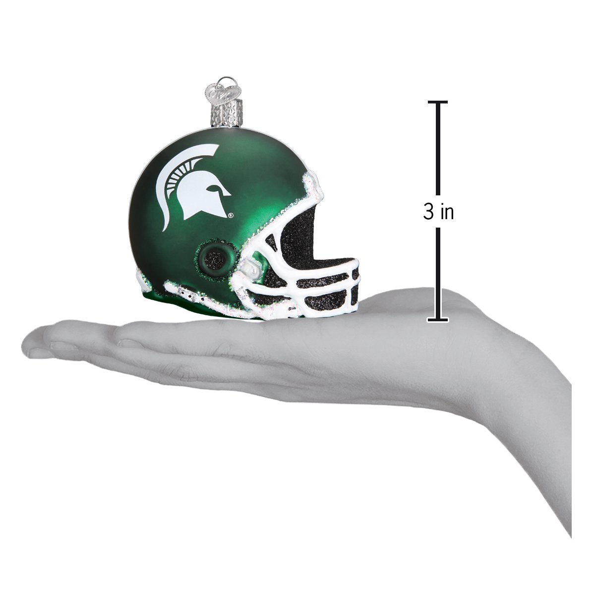 Michigan State Helmet
